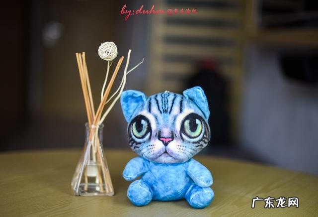 中国最容易失眠的城市 中国失眠城市排行榜