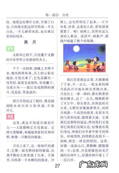 【抖音文案】关于银杏树的好词好句好段