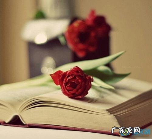 描述心情好的唯美句子 【抖音文案】描述自己心情好的句子