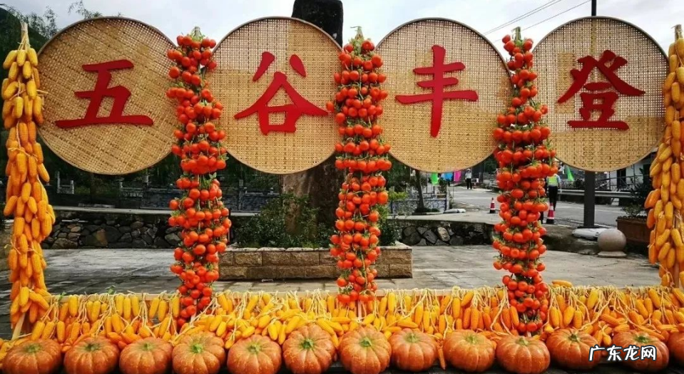 淘特推出“丰收节专区”，平价走进县域消费市场