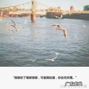 分手后的话语分手后伤心的句子 【抖音文案】分手后最伤心的句子