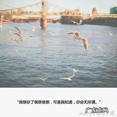 分手后的话语分手后伤心的句子 【抖音文案】分手后最伤心的句子