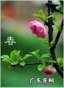 描写春天景色的句子 【抖音文案】描写春天景色的句子