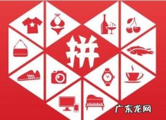 拼多多旗舰店和普通店的区别具体是什么？