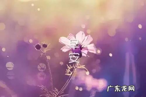 对情人的暖心情话短句 【抖音文案】最暖心的情话给女朋友