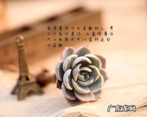 开心的一句话发朋友圈 【抖音文案】是个发朋友圈的开心句子