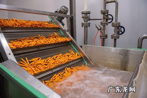 代加工oem是什么意思？与odm代加工有什么区别？