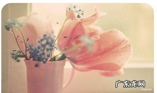 旅游心情的唯美句子 【抖音文案】心情很好的唯美句子