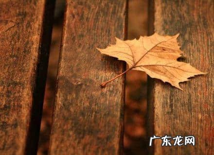 伤感说说适合发朋友圈的伤感句子 【抖音文案】伤感的句子说说