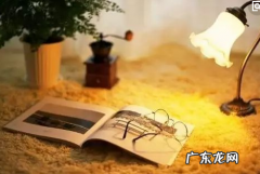 女人努力的句子 正能量短句 【抖音文案】努力的句子正能量短句