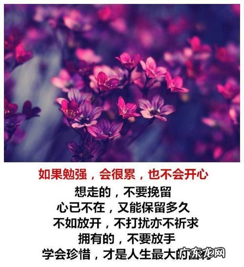 珍惜朋友情谊的短句子 【抖音文案】珍惜朋友情谊的句子