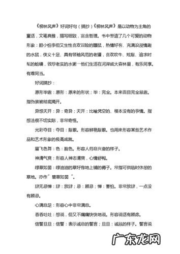 【抖音文案】蒲公英的好词好句好段摘抄大全