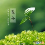 描写打雷的优美句子怎么写 【抖音文案】描写十二月的优美句子怎么写