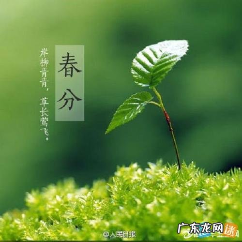 描写打雷的优美句子怎么写 【抖音文案】描写十二月的优美句子怎么写