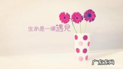 人生短句 【抖音文案】最精辟人生感悟短句