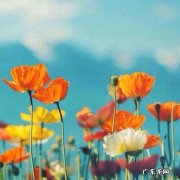 高情商的3个处理方式 微信不回信息的人怎么对付