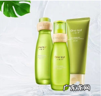 一叶子VS百雀羚,谁会更胜一筹?