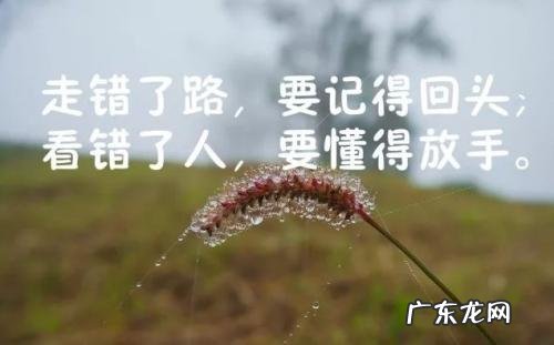 人生感悟的句子英文语句子 【抖音文案】人生感悟的句子感慨人生的句子