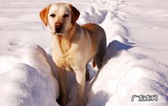 姓名的答复锻炼计划