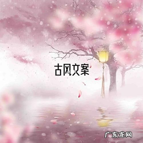 适合生日的古风句子文案 【抖音文案】古风句子文案