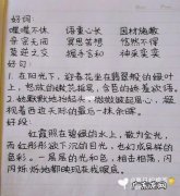 好词好句摘抄五年级 【抖音文案】七年级好词好句好段摘抄大全