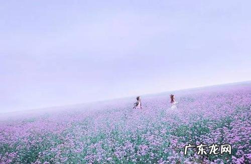 关于风起时的句子 【抖音文案】风起时的唯美句子