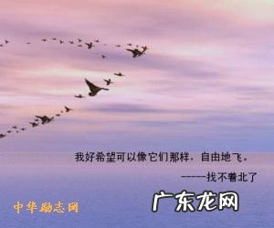 正能量句子励志古诗词 【抖音文案】励志的句子经典古诗词
