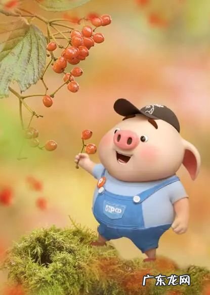 逗人开心的小笑话句子 【抖音文案】逗人开心的小笑话