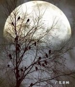 优美孤独伤感句子 【抖音文案】优美孤独伤感古诗词