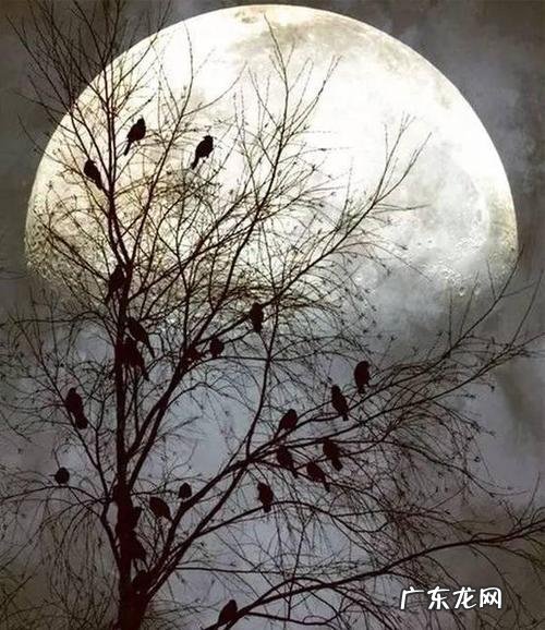 优美孤独伤感句子 【抖音文案】优美孤独伤感古诗词