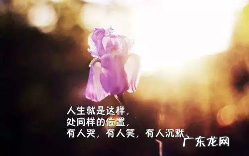 简短精辟的正能量句子 【抖音文案】人生精辟的正能量句子