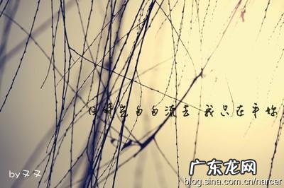 形容秋天的句子唯美 【抖音文案】形容岁月匆匆的唯美句子