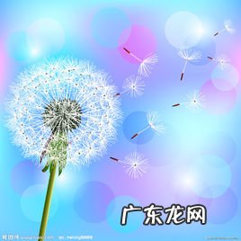 描写蒲公英的优美句子有哲理的 【抖音文案】描写蒲公英的优美语句