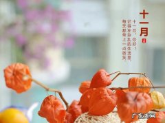 赞美十一月的优美句子发朋友圈 【抖音文案】十一月赞美风景的优美句子