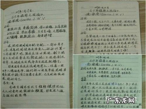 【抖音文案】优美摘抄好词好句大全短一点