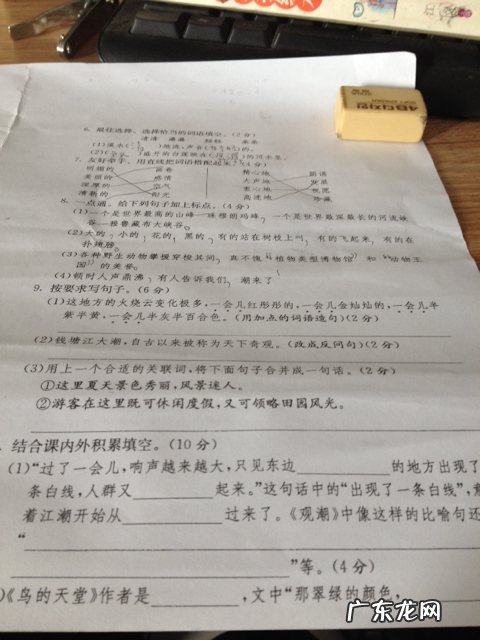 用烟花霎时一会儿工夫造句 【抖音文案】用霎时一会儿工夫造句