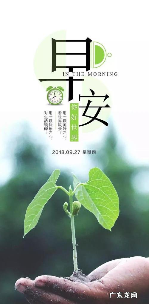 励志的正能量经典语录 【抖音文案】正能量的经典句子