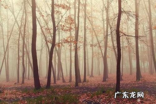 励志语录经典短句2021正能量 【抖音文案】励志的句子经典语句长句