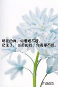 致伤害我的人经典短句 【抖音文案】经典短句致自己