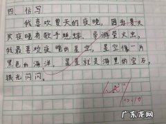 夏天的一句话怎么写一年级 【抖音文案】关于夏天的一句话怎么写