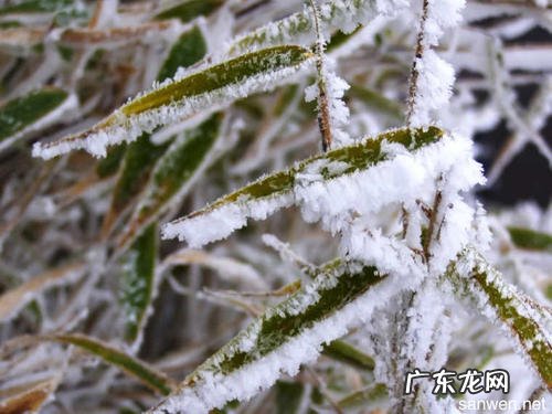 关于冬天的句子唯美 【抖音文案】迎接冬天的唯美的句子