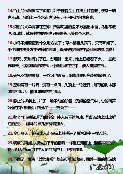 一年级描写夏天的短句子 【抖音文案】夏天怎么描写的句子