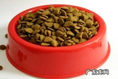 狗狗护食该怎么办？