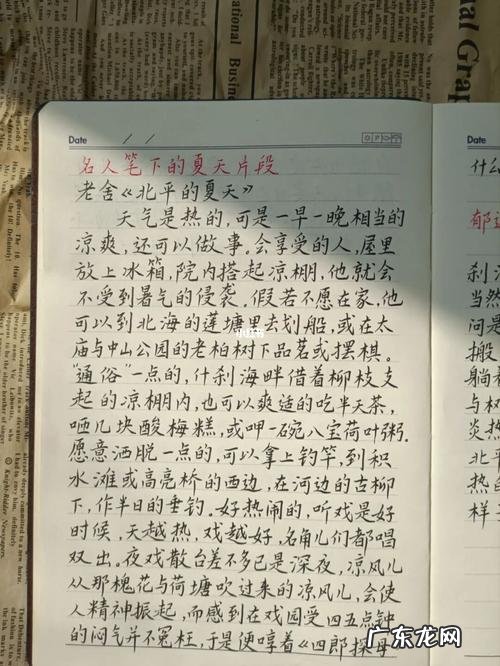 描写夏天荷花的优美句子摘抄 【抖音文案】描写夏天的句子摘抄20字