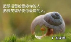 经典感悟生活的心情说说短句 【抖音文案】关于友情的经典短句说说