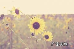 人生拼搏正能量励志句子英文 【抖音文案】2021人生拼搏正能量励志句子