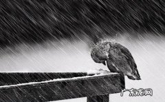 伤感文案短句扎心 【抖音文案】精辟文案短句