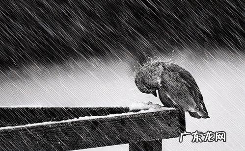 伤感文案短句扎心 【抖音文案】精辟文案短句