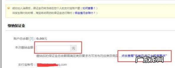 淘宝消保保证金怎么代交?注意事项有哪些?