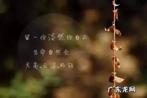 最精辟人生感悟短句 【抖音文案】人生哲理句子精辟简短